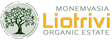 Liotrivi SHOP Monemvasia | Exceptional high-quality products