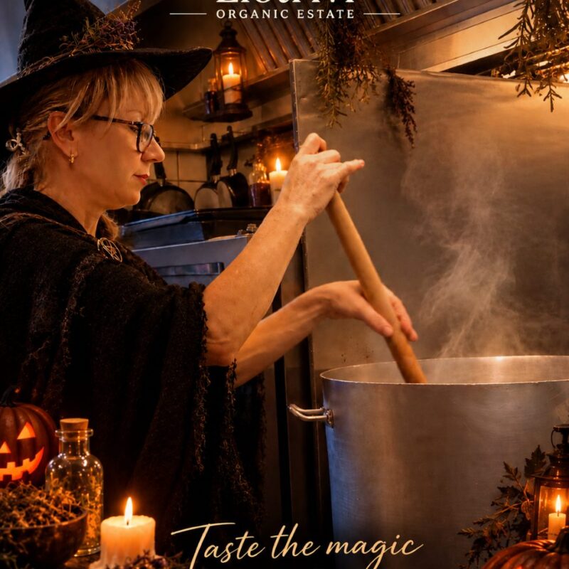 witch halloween 26